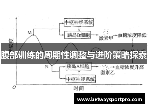 腹部训练的周期性调整与进阶策略探索